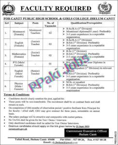 Cantt Public High School and Girls College Jhelum Cantt Jobs 2023