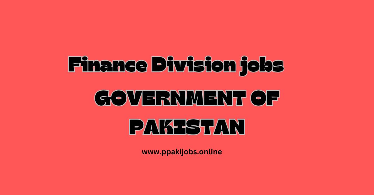 Finance Division jobs